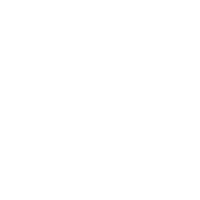 AI ACT